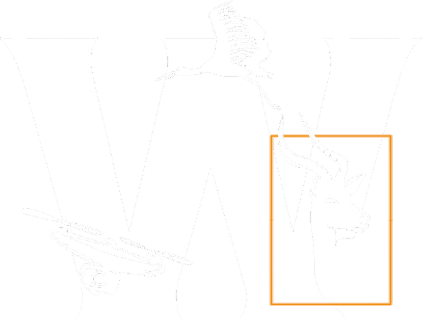 Embedded Linux project